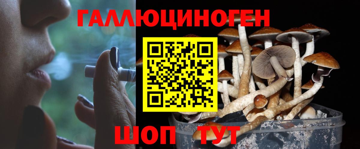 Галлюциногенные грибы GOLDEN TEACHER Новосибирск