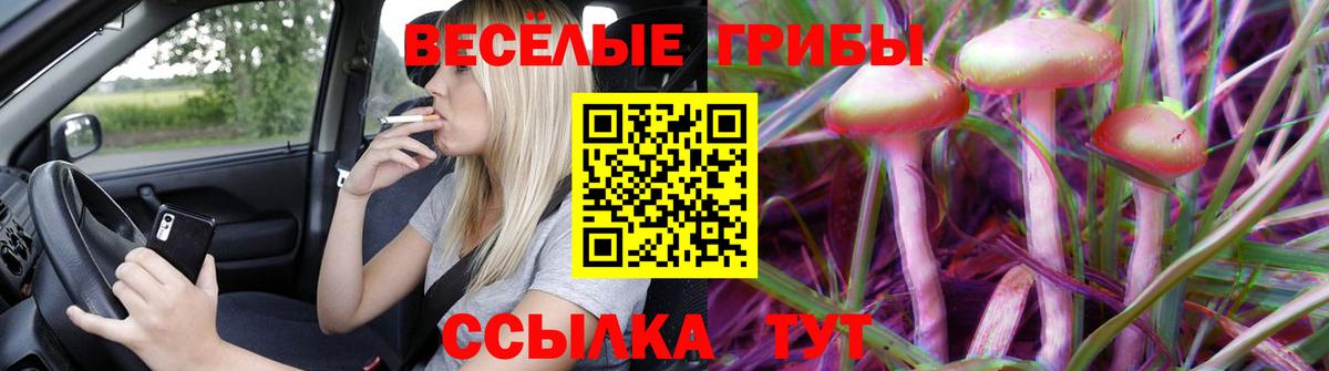 Галлюциногенные грибы ЛСД  Вход с VPN  Галлюциногенные грибы MAGIC MUSHROOMS  Новосибирск 